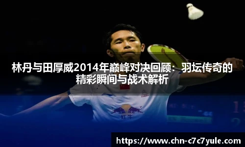 林丹与田厚威2014年巅峰对决回顾:羽坛传奇的精彩瞬间与战术解析