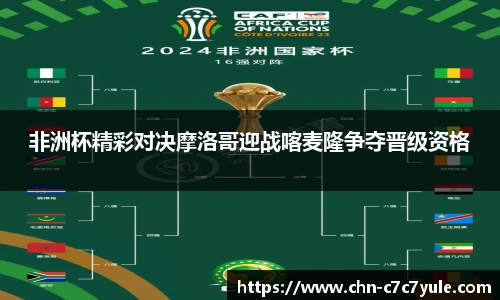 非洲杯精彩对决摩洛哥迎战喀麦隆争夺晋级资格